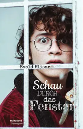 Flisar |  Schau durch das Fenster | Buch |  Sack Fachmedien