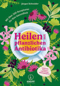 Schneider |  Heilen mit pflanzlichen Antibiotika | Buch |  Sack Fachmedien