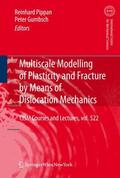 Pippan / Gumbsch |  Multiscale Modelling of Plasticity and Fracture by Means of Dislocation Mechanics | Buch |  Sack Fachmedien