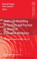 Gumbsch / Pippan |  Multiscale Modelling of Plasticity and Fracture by Means of Dislocation Mechanics | eBook | Sack Fachmedien