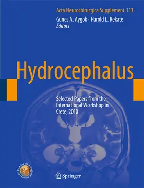 Aygok / Rekate | Hydrocephalus | Buch | 978-3-7091-0922-9 | www.sack.de