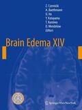 Czernicki / Baethmann / Mendelow |  Brain Edema XIV | Buch |  Sack Fachmedien