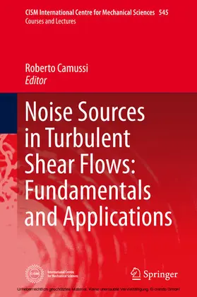 Camussi | Noise Sources in Turbulent Shear Flows: Fundamentals and Applications | E-Book | www.sack.de