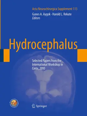 Aygok / Rekate | Hydrocephalus | Buch | 978-3-7091-1935-8 | www.sack.de