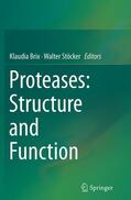 Stöcker / Brix |  Proteases: Structure and Function | Buch |  Sack Fachmedien