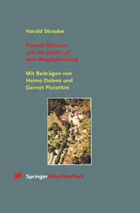 Straube |  Ferrum Noricum und die Stadt auf dem Magdalensberg | eBook | Sack Fachmedien