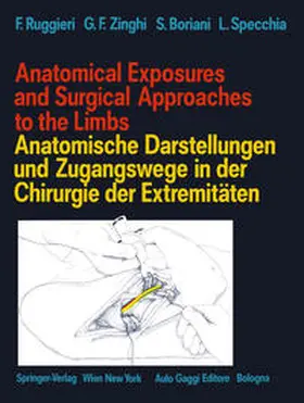 Specchia / Ruggieri / Zinghi | Anatomical Exposures and Surgical Approaches to the Limbs Anatomische Darstellungen und Zugangswege in der Chirurgie der Extremitäten | E-Book | sack.de