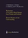 Baethmann / Plesnila / Eriskat |  Mechanisms of Secondary Brain Damage from Trauma and Ischemia | Buch |  Sack Fachmedien