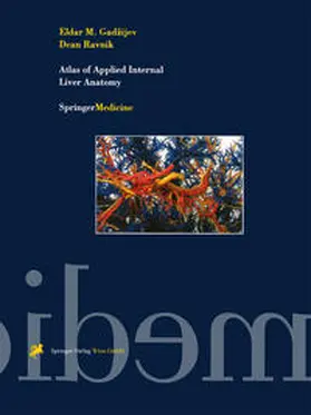 Gadzijev / Ravnik | Atlas of Applied Internal Liver Anatomy | Buch | 978-3-7091-7355-8 | sack.de