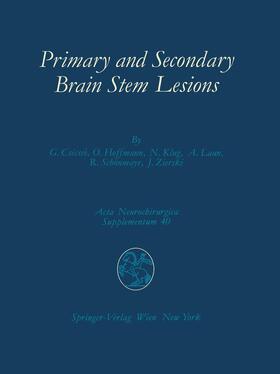 Csecsei / Hoffmann / Zierski | Primary and Secondary Brain Stem Lesions | Buch | 978-3-7091-8943-6 | sack.de