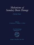 Baethmann / Schürer / Kempski |  Mechanisms of Secondary Brain Damage | Buch |  Sack Fachmedien