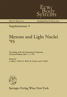 Adam / Dobes / Mach |  Mesons and Light Nuclei ’95 | eBook | Sack Fachmedien