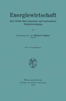 Seidner |  Energiewirtschaft | Buch |  Sack Fachmedien
