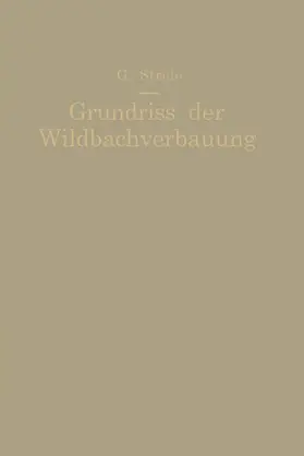 Strele |  Grundriß der Wildbachverbauung | Buch |  Sack Fachmedien