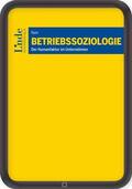 Bauer |  Betriebssoziologie | eBook | Sack Fachmedien