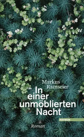Ramseier |  In einer unmöblierten Nacht | Buch |  Sack Fachmedien