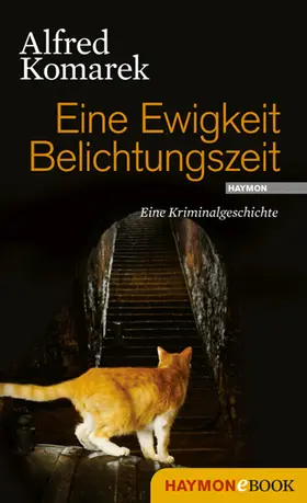 Komarek |  Eine Ewigkeit Belichtungszeit | eBook | Sack Fachmedien