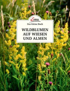 Wiegele |  Das kleine Buch: Wildblumen auf Wiesen und Almen | Buch |  Sack Fachmedien