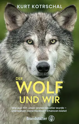 Kotrschal | Der Wolf und wir | Buch | 978-3-7106-0597-0 | www.sack.de