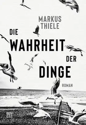 Thiele |  Die Wahrheit der Dinge | Buch |  Sack Fachmedien