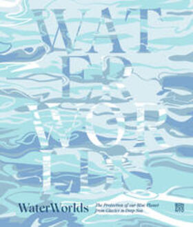 Benevento Publishing und Startup Guide / Taylor |  WaterWorlds | Buch |  Sack Fachmedien