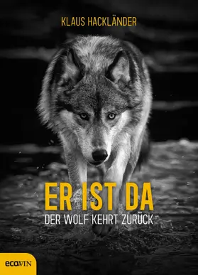Hackländer |  Er ist da | eBook | Sack Fachmedien
