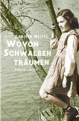 Meisel |  Wovon Schwalben träumen | Buch |  Sack Fachmedien