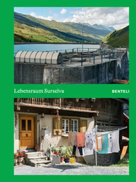 Meyer |  Lebensraum Surselva | Buch |  Sack Fachmedien