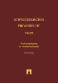 Handschin |  Bd. VIII/9: Rechnungslegung im Gesellschaftsrecht | Buch |  Sack Fachmedien