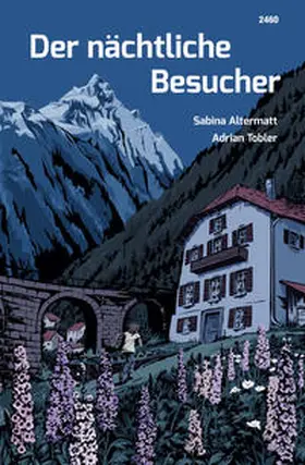 Altermatt |  Der nächtliche Besucher | Buch |  Sack Fachmedien