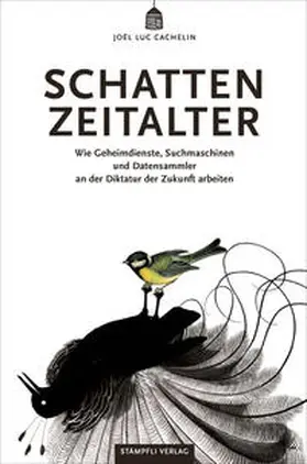 Cachelin | Schattenzeitalter | Buch | 978-3-7272-1371-7 | sack.de
