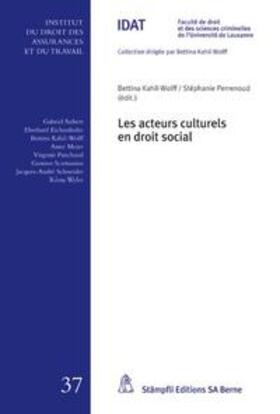 Kahil-Wolff / Perrenoud | Les acteurs culturels en droit social | Buch | 978-3-7272-2229-0 | sack.de