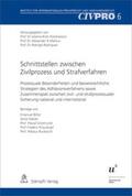 Kren Kostkiewicz / Markus / Rodriguez |  Schnittstellen zwischen Zivilprozess und Strafverfahren | Buch |  Sack Fachmedien