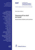 Wyler |  Panorama IV en droit du travail | eBook | Sack Fachmedien