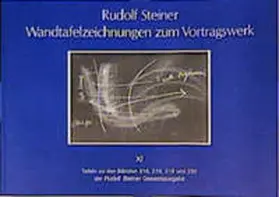 Steiner |  Wandtafelzeichnungen zum Vortragswerk, Bd. XI | Buch |  Sack Fachmedien