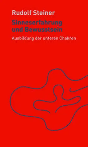 Steiner / Haas |  Sinneserfahrung und Bewusstsein | Buch |  Sack Fachmedien