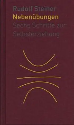 Steiner / Baydur |  Die Nebenübungen | Buch |  Sack Fachmedien