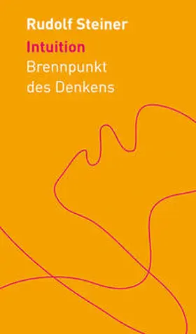 Steiner / Boer |  Intuition | Buch |  Sack Fachmedien
