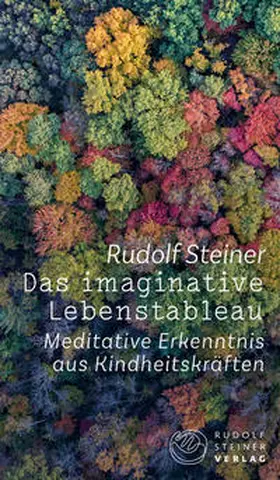 Neider / Steiner |  Das imaginative Lebenstableau | Buch |  Sack Fachmedien