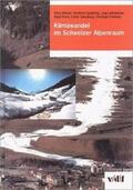 Wanner / Gyalistras / Luterbacher |  Klimawandel im Schweizer Alpenraum | Buch |  Sack Fachmedien