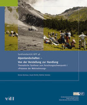 Backhaus / Reichler / Stremlow | Alpenlandschaften - Von der Vorstellung zur Handlung | Buch | 978-3-7281-3119-5 | sack.de