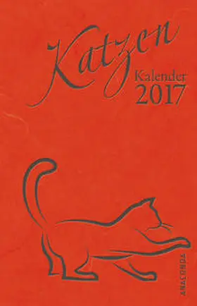 John |  Katzen-Kalender 2017 | Buch |  Sack Fachmedien