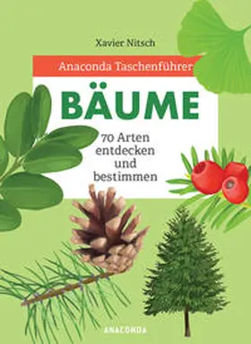 Nitsch |  Anaconda Taschenführer Bäume. 70 Arten entdecken und bestimmen  - | Buch |  Sack Fachmedien