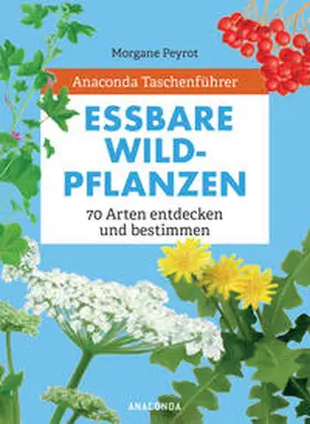 Peyrot / Herzog |  Anaconda Taschenführer Essbare Wildpflanzen. 70 Arten bestimmen und entdecken. - | Buch |  Sack Fachmedien