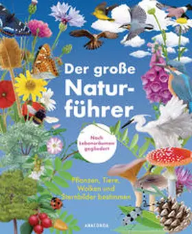 Peyrot / Pluchet / Nitsch |  Der große Naturführer. Pflanzen, Tiere, Wolken und Sternbilder bestimmen. Nach Lebensräumen gegliedert. | Buch |  Sack Fachmedien