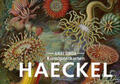  Postkarten-Set Ernst Haeckel | Buch |  Sack Fachmedien