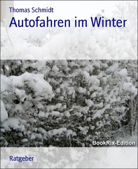Schmidt | Autofahren im Winter | E-Book | sack.de