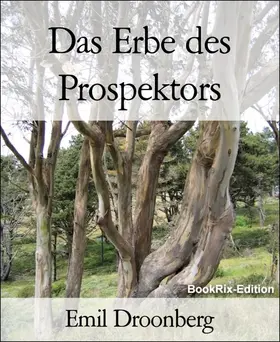 Droonberg |  Das Erbe des Prospektors | eBook | Sack Fachmedien
