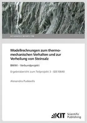 Pudewills |  Modellrechnungen zum thermomechanischen Verhalten und zur Verheilung von Steinsalz: BMWi - Verbundprojekt Ergebnisbericht zum Teilprojekt 3 - 02E10840 | Buch |  Sack Fachmedien