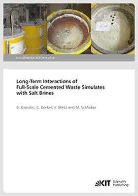 Kienzler / Borkel / Metz |  Long-Term Interactions of Full-Scale Cemented Waste Simulates with Salt Brines | Buch |  Sack Fachmedien
